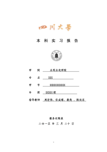 水工毕业实习报告