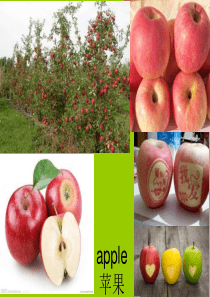 水果名称and图-美文整理.