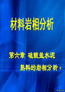 水泥熟料岩相分析.