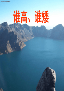 谁高、谁矮PPT