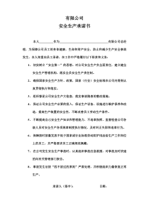 安全生产承诺书(最新版)