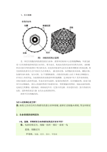 深圳南山外国语高一生物作业