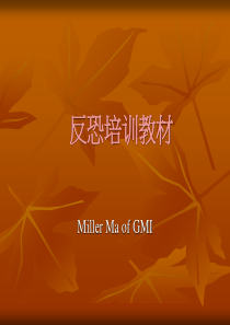 反恐培训教材