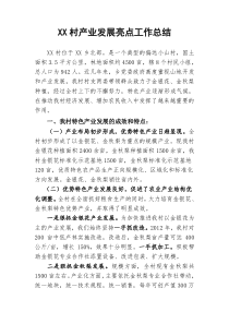 村产业发展亮点工作