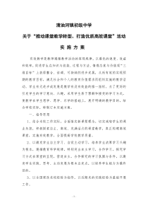 清油初中实施有效教学_打造高效课堂实施方案