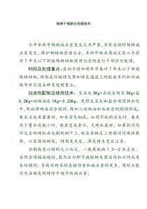 杨树干部涂白处理技术