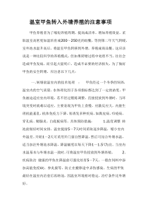 温室甲鱼转入外塘养殖的注意事项