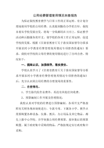 中小学校公用经费使用情况自查自纠报告