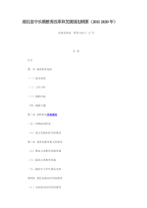 湖北省中长期教育改革和发展规划纲