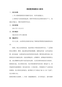 果树修剪实习