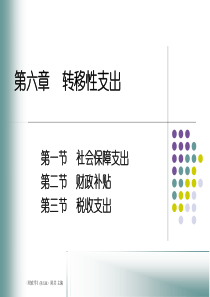 人大经济金融课件 财政学课件 第六章