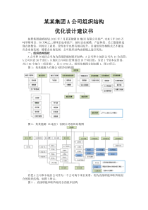 某某集团公司组织结构优化建议书