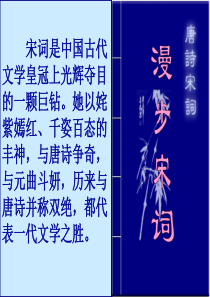 柳永词二首课件.