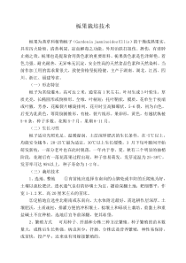栀果栽培技术