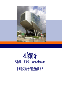 保险(全民医保、新农合医保)、失业保险、工伤保险、生育保险