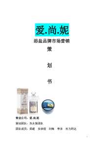 灰太狼团队浴盐营销策划书