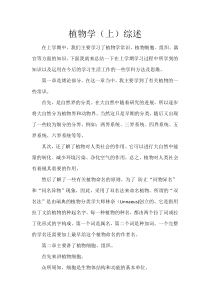 植物学(上)综述