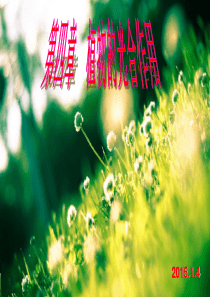 植物学--光合作用课件