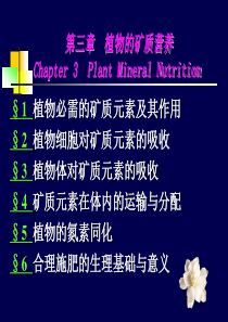 植物生理学308第三章植物的矿质营养