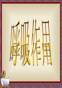 植物生理学之呼吸作用
