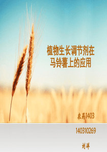 植物生长调节剂马铃薯.