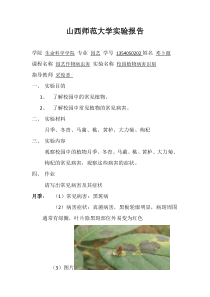 植物病害识别