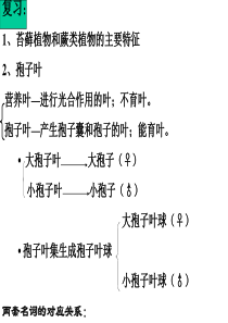 植物系统分类-2