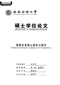 保险企业核心竞争力探讨