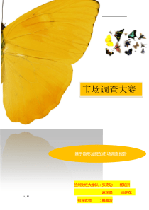 市场调查大赛作品-确定版)