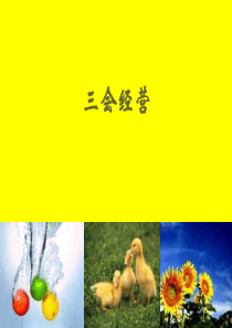 保险公司三会经营