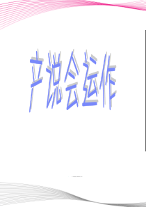 保险公司产说会运作52页