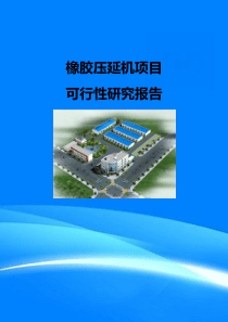 橡胶压延机项目可行性研究报告(目录)