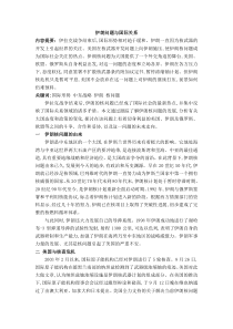 伊朗问题论文