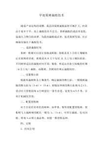 旱地果树栽植技术