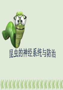 昆虫的神经系统与防治