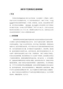 浅析苏宁发展现状及营销策略