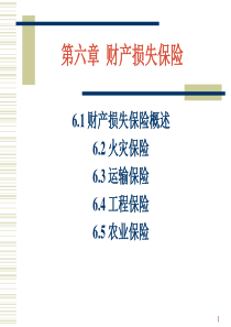 保险学第六章财产损失保险
