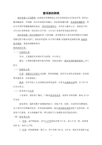 浅谈普洱茶