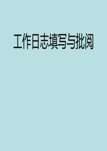 保险工作日志填写与批阅（PPT30页)