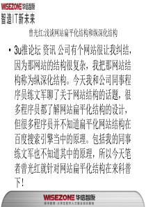 浅谈网站扁平化结构和纵深化结构