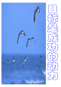 保险早会板块集锦2