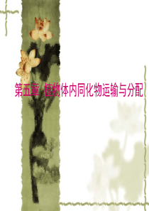 植物体内同化物运输与分配