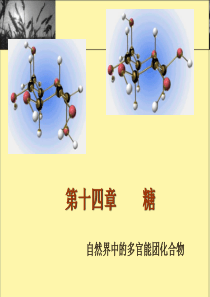 有机化学-第十四章