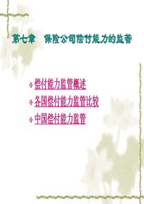 保险监管第七章保险公司偿付能力的监管