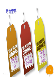 服务营销定价策略.