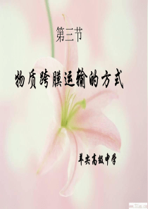 物质跨膜运输的方式1
