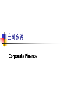 公司金融公司理财第五章