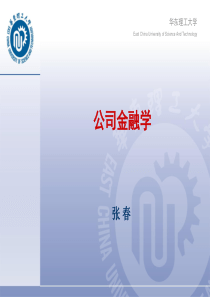公司金融学-第4章