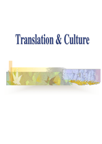 文化与翻译.