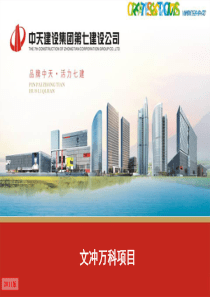 文冲万科项目介绍.